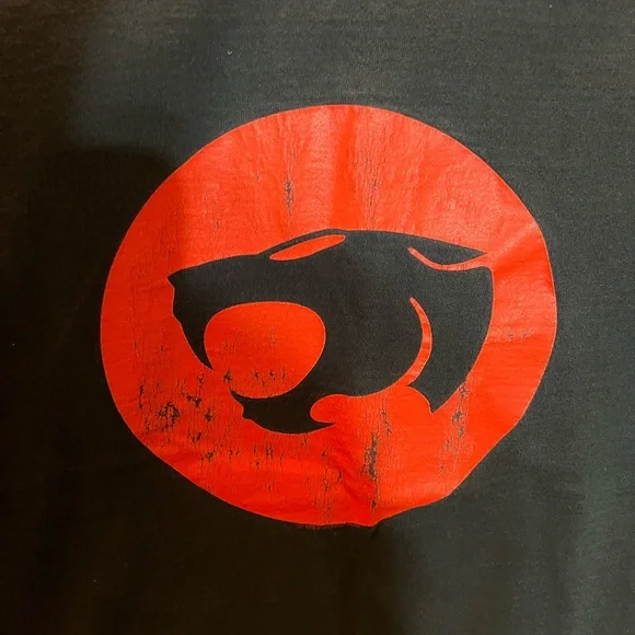 Thunder cats, Size Large, Vintage, 1999, (Used) - Picture 2 of 4